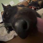 Spencer Bowden - @spencerbowden.raw - Instagram