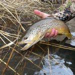 Spencer bowman - @northwest_trout_hunters - Instagram