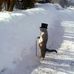 Spencer Bringhurst - Facebook
