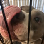 Spencer Brooks - @spencer_brooks501 - Instagram