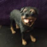 Spencer Brooks Williams - @s_p_e_n_c_e_r_12345 - Instagram