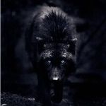 Spencer Bruce - @spencer.bruce.3194 - Instagram