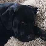 Spencer.Bruce - @spencer.bruce3 - Instagram