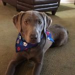 Spencer•Bruce•Lindenfelser - @the.lifeofspencer - Instagram