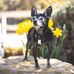 Spencer Bruton - Facebook