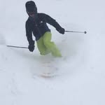 Spencer Burch - @goldfishondepatio - Instagram