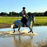 Spencer Cartwright - @adventures_with_my_greys_ - Instagram