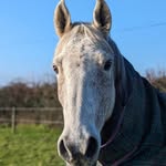 Spencer Cartwright - @spence_cartw2 - Instagram