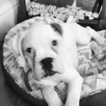 Spencer Caudill - @fireboy445 - Instagram