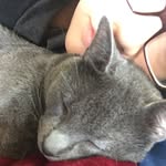 Spencer Cavanaugh Berrelez - @spencerberrelezcat - Instagram