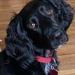 @spencercheney - Instagram