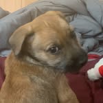 Spencer Cherry - @cherry_boi_ - Instagram