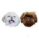 Spencer & Chewy - @spencerandchewy - Instagram