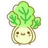 spencer_choy - @bok_soy - TikTok