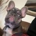 Spencer Coles - Facebook