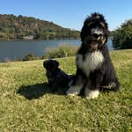 Abraham Lincoln Spencer & Eugene Goosetaf Compton - @grumpyabeandthegoose - Instagram