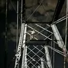 spencer_bingham - @spencer_bingham10 - TikTok