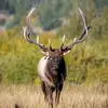spencercovert - @spencercovert - TikTok