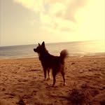 Spencer Craft - @spencercraft9 - Instagram