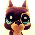 @lps_spencer_crew - Instagram