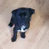 spencercrow - @spenny10 - TikTok