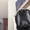 Spencer Dean - @spencer.dean1 - TikTok