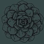 Spencer Dean Creations - @spencerdeancreations - Instagram