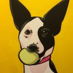 Spencer Douglas - @pet_pop_art - Instagram