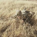 Spencer Elder - @elderspencer - Instagram