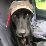 Spencer Ellis - Facebook