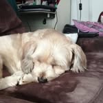 Spencer Ellis - @spencerellis66 - Instagram