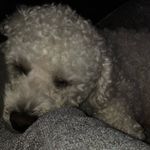 spencer fields - @spncrfields - Instagram