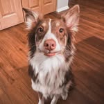 Spencer Glover - @spen.cerglover - Instagram