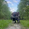 Spencer.Glover - @s.glover7 - TikTok