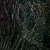 Spencer Goetz - Facebook