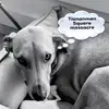 Spencer Goetz - @goet.z - TikTok