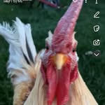 Spencer Goldstein - @ga_ranch - Instagram