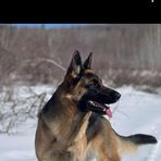 Spencer Goodwin - Facebook