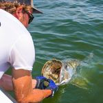 Spencer Goodwin - @seein_red_sportfishing - Instagram