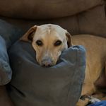 Spencer Gratton - @spennygrat - Instagram