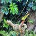 Spencer Hokua-Beckett Haight - Facebook