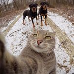 Spencer Hamilton - @spenvision - Instagram