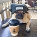 Spencer Harding - Facebook