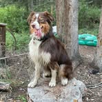 Spencer Healey - Facebook
