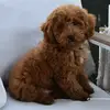 Spencer Hendrick☺️ - @spencer.hendrick2 - TikTok