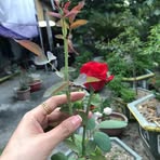 Spencer Hester - Facebook