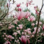 Spencer Hillman - Facebook