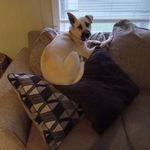 Angela Spencer Holcomb - @spencerholcombangela - Instagram