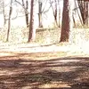 Allen - @hubertspencer803 - TikTok