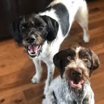 Spencer Huff - @4spropertysolutions - Instagram